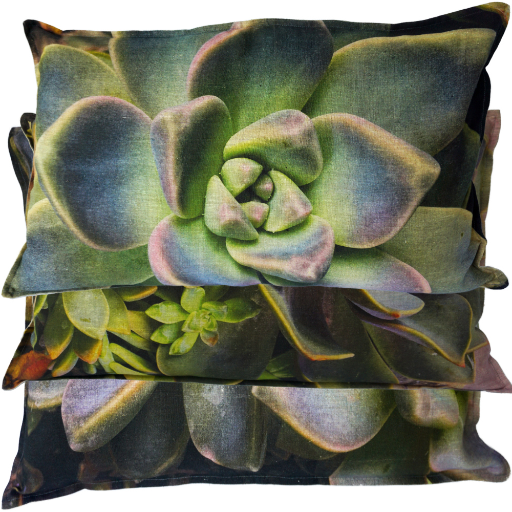 Desert Rose Trio